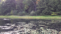 Erwin Pond