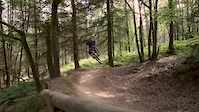 ribbesford bike park