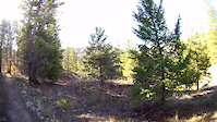 Fox Creek Trail 5 Ketchum, Idaho