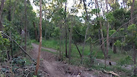 Taddy Trail Jump