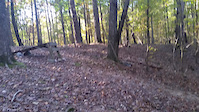 nice hill jump on 286 trail near Raleigh NC