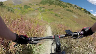 Riding the 401 Trail in 2016