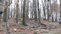 herbst`ln IV