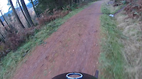 Collection of trails