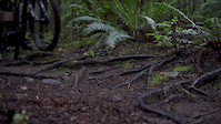 Fall ride with Nick Chappell