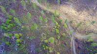 Christmas Eve Ride in Fall City
