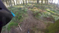 old bird box trail