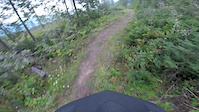 canyon creek