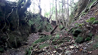 Criusing down Farropo Trail