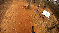 Trillium, Hare to TH Coldwater Mtn. Anniston, AL