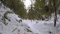 Fatbike Friday in Squamish