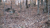 Clarkson 7 Springs Flow Trail Mini Shredit 1