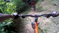 Jamaican Trail Vibez