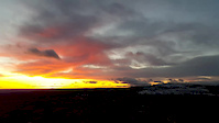 Forgetmenot Sunrise