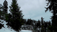A Winter Shred