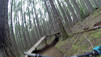 BLACKROCK - Wooden Features and Road Gap