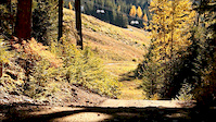 Before winter falls.