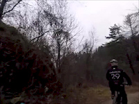 Uno sguardo su panchine trail