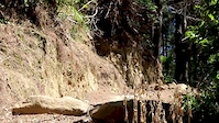 440 MTB Park