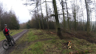 bringewood