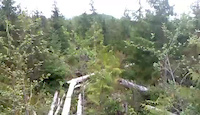 Brad Rides Telegraph