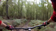 sdrifty