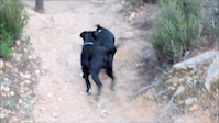 Enduro Riudarenes Hector Labrador