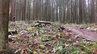 Thorn hill/eagle/Burke mountain