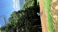 Road Gap