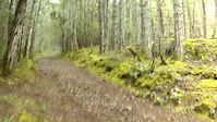 Scafe Hill Descent