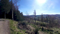 Vallelujah, Tweedlove 2017