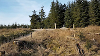 Keri - Hope Line Gisburn Forest 26-3-17