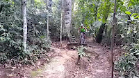Droppin in