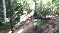 Drop-train