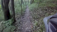 Hillman State Park 8/16