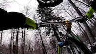Loop through the Forest and Kinsmen