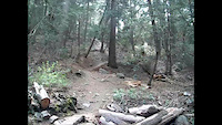 Santa Ana river trail
