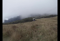 Chill laps up at Mt Buller!