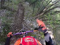 RAW on the trails