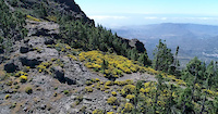 Little view from panorama trails