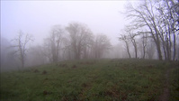 Lacks creek, dank edit