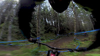 Cat 2 Track ProGRT