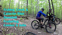 BUGS. BRANCHES. SPEED & CHUNKS. SOUNDS...