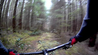 New Trail