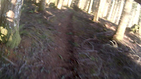 Riding Henderson Ridge