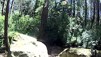 Fun short dh trail in my 'backyard'