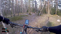 Smedgärdsskogen SS1