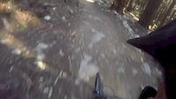 Dale's Trail 2017