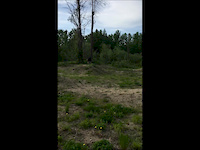 Terra Bike Park