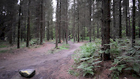 Peaty's Steel City DH